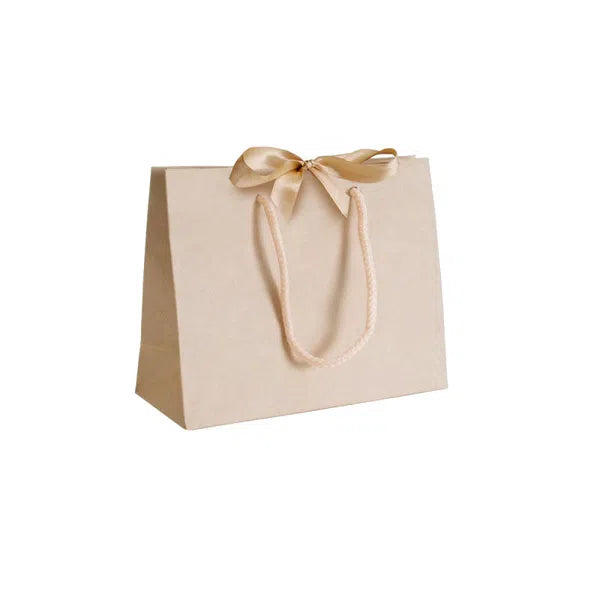 Paper Gift Bag